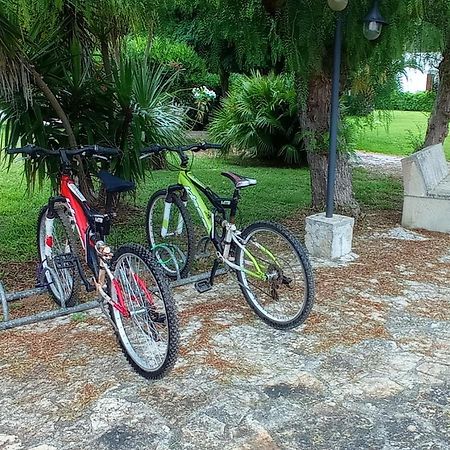 Tenuta Don Monaco - Agriturismo Санта Чезареа Терме Екстериор снимка