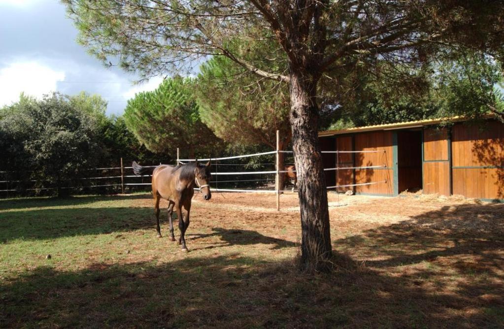 Tenuta Don Monaco - Agriturismo Санта Чезареа Терме Екстериор снимка